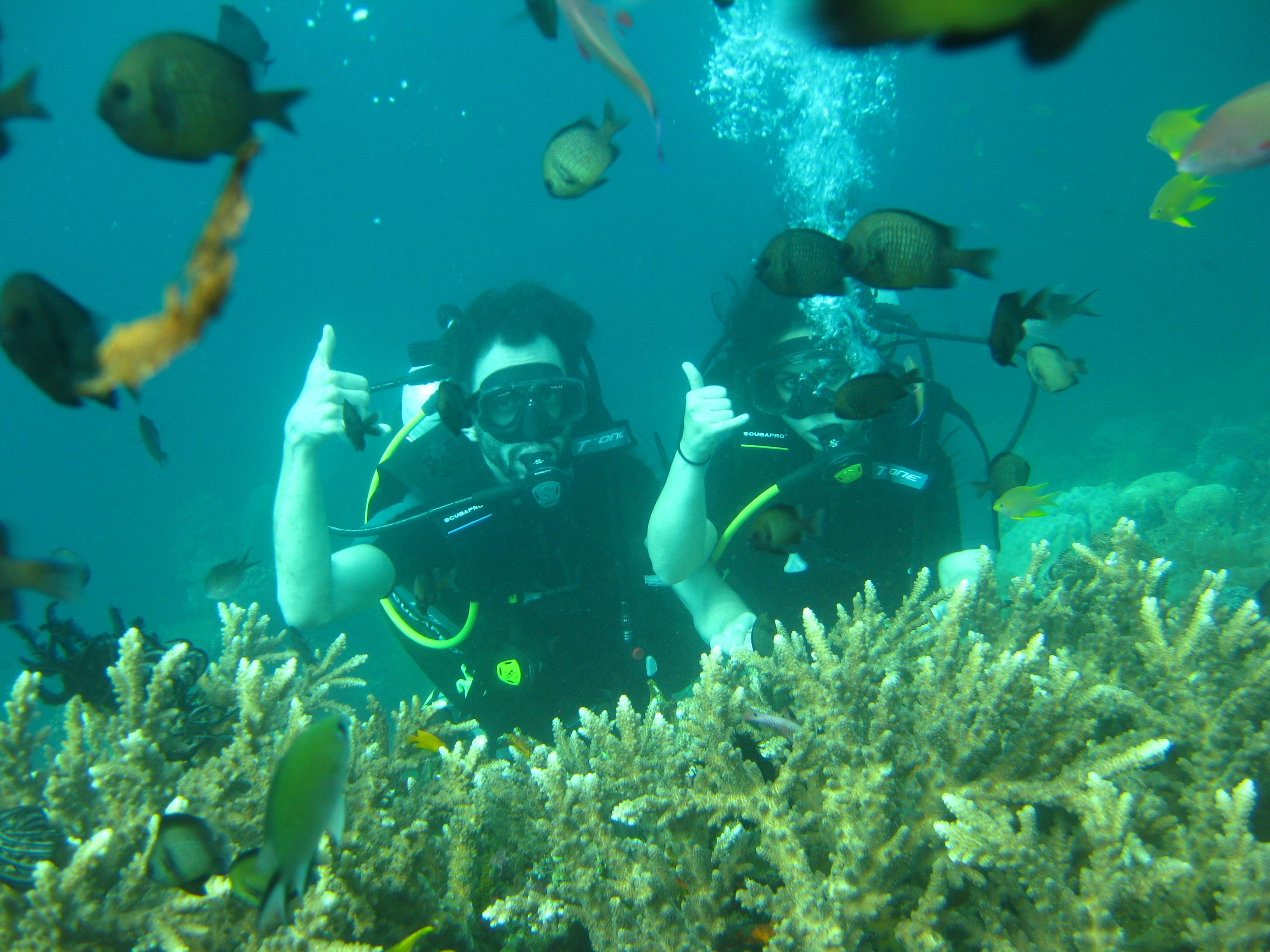 Students Scuba Diving