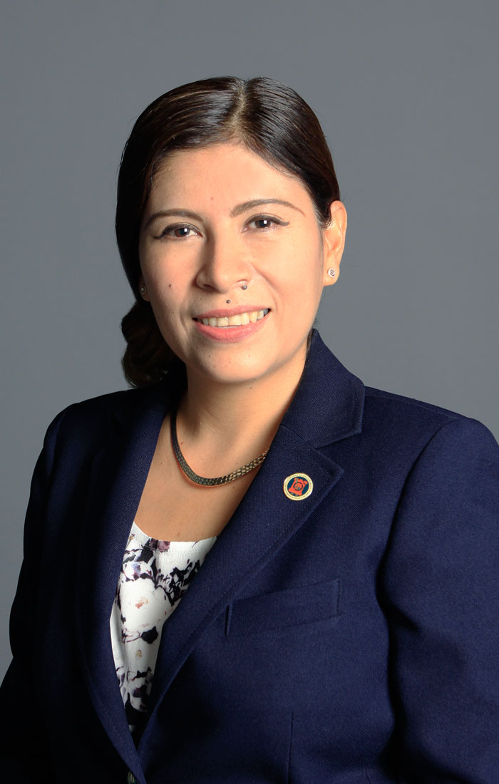 Heidi A. Taboada, Ph.D., associate dean for research and graduate studies in the College of Engineering. 
